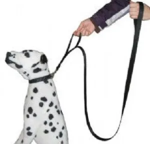 Two Handle Heavy Duty Dog Leash For Large Breeds